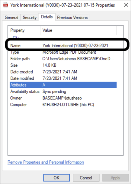 Example of a report’s Details tab in Windows File Properties