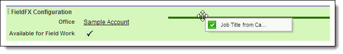 Screenshot of the configured FieldFX Configuration section