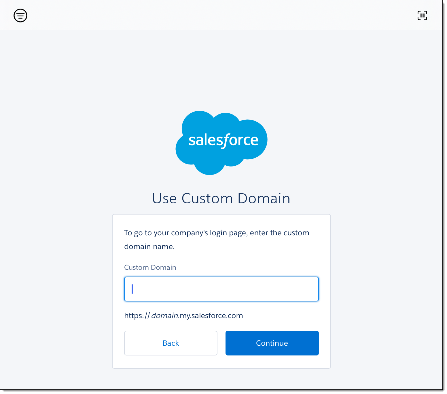 Example of a screen a user sees when adding a custom domain