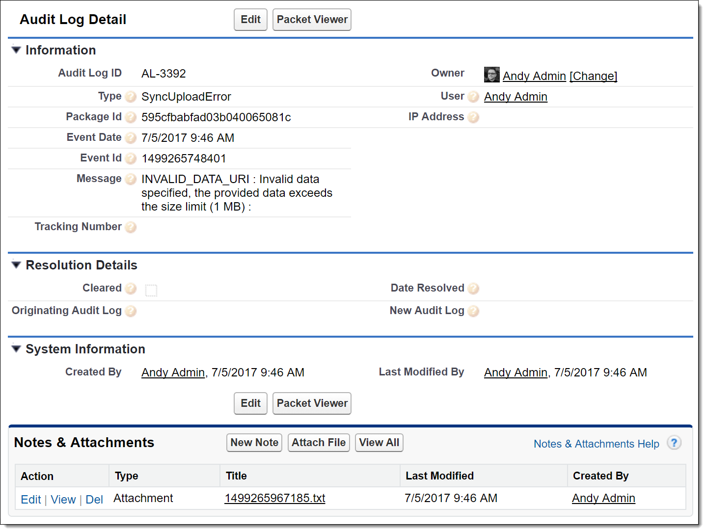 Screenshot of the Audit Log Details