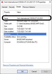 Example of a report’s Details tab in Windows File Properties