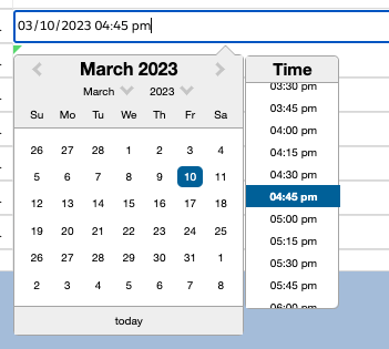 New FXL Data Grid Date/Time Picker